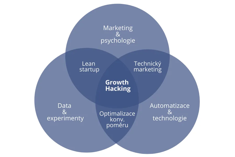 Growth Marketing konusunu açıklayan fotoğraf