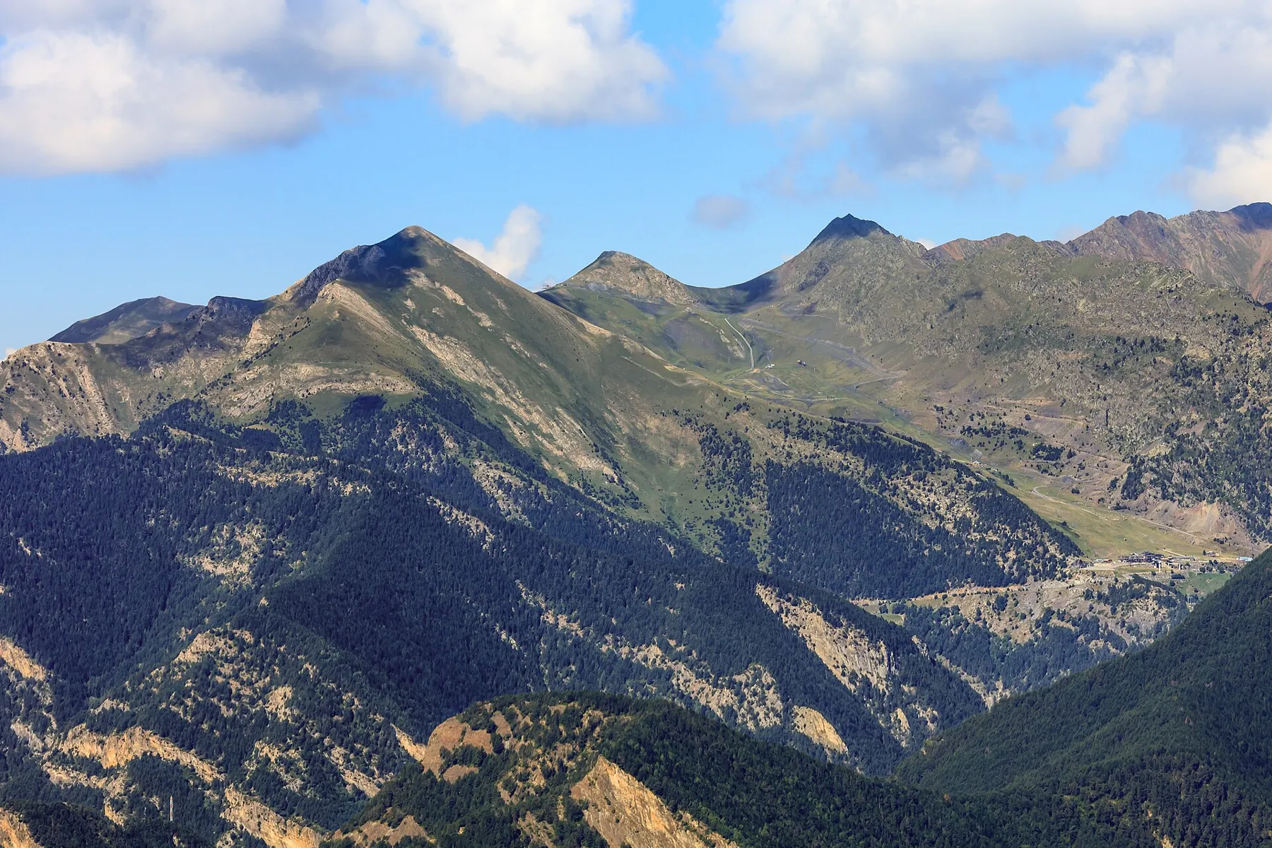 Ordino örnek kullanım ortamı