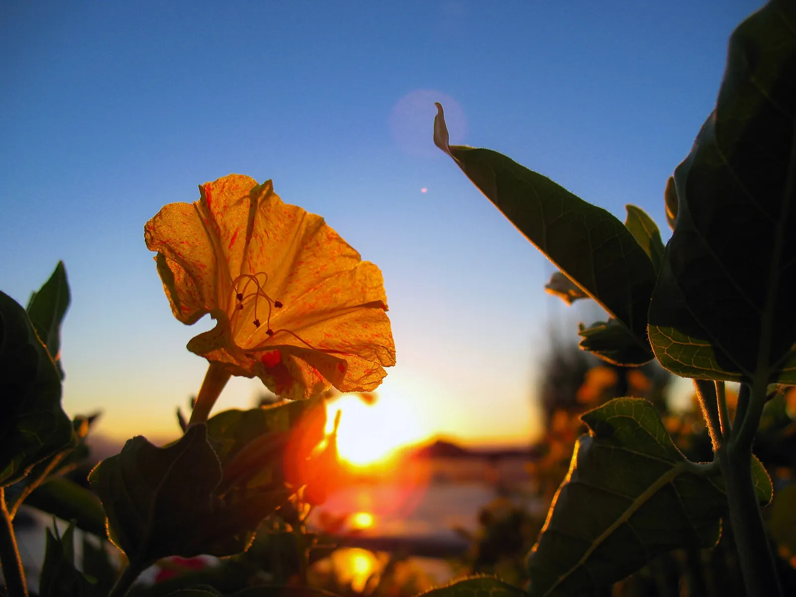 Site İçi SEO iş sürecini destekleyen fotoğraf